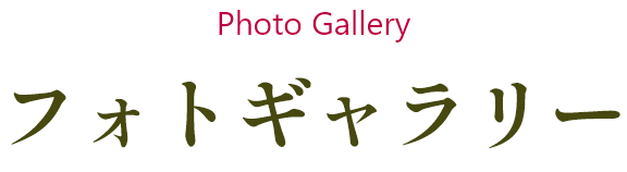 フォトギャラリー